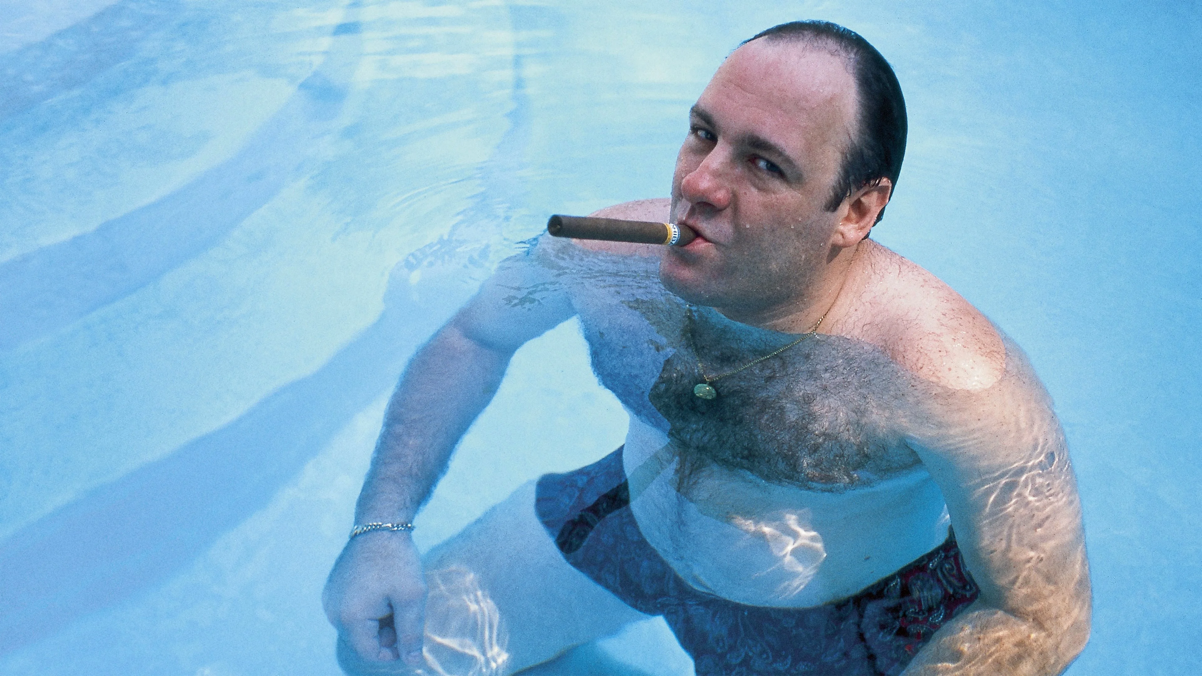Gã Hợm Hĩnh David Chase Và Gia Đình Soprano